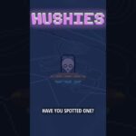 Hushies #797 #nft