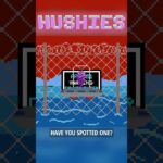 Hushies #928 #nft