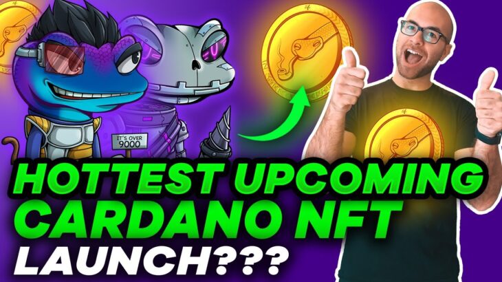 Introducing Snekkies Cardano NFT: Mine Your Way to Top NFT Rewards & Snek Tokens – what to know!