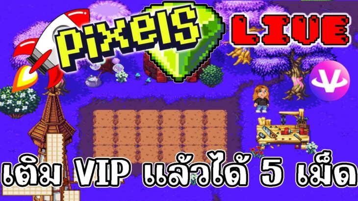 [ LIVE ] Pixel / Carrieverse / Ducky / Bomb (NFT ) : เกมเยอะจัดๆ EP.116