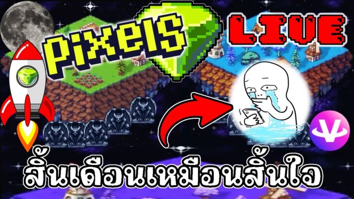 [ LIVE ] Pixel + Carrieverse ( NFT ) : งอกกกกกก EP.101