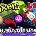 [ LIVE ] Pixel + Carrieverse (NFT ) : เรื่องของ ไข่ๆ  EP.107