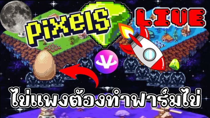 [ LIVE ] Pixel + Carrieverse (NFT ) : เรื่องของ ไข่ๆ  EP.107