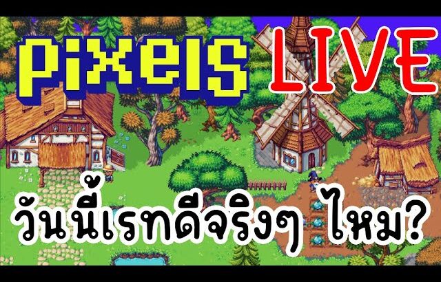 [ LIVE ] Pixel (NFT ) : เรทดึกๆ มักจะดี ? EP.124