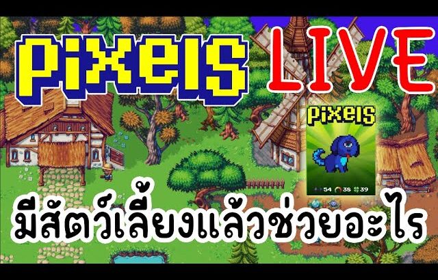 [ LIVE ] Pixel (NFT ) : หนีตายกัน จ้าละหวั่น? EP.125