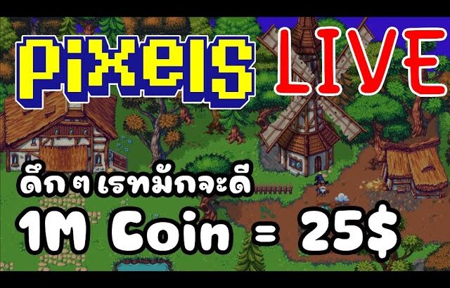 [ LIVE ] Pixel (NFT ) : มาดึกเพราะอะไร? EP.128