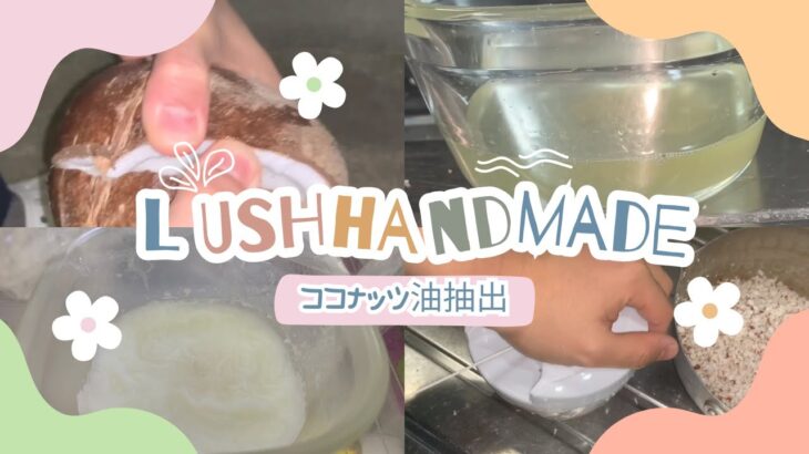 LUSH作りたい　ココナッツかち割ってオイルを抽出する糖尿病 #糖尿病の品格 #糖尿病 #美容の品格