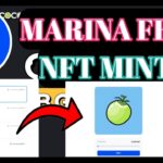 Marina NFT Minting । Marina Free NFT Mining Problem। Marina App Wallet | Marina NFT Waitlist।