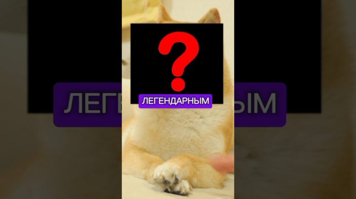 ЛЕГЕНДАРНОЕ NFT СОБАКИ🐕📸