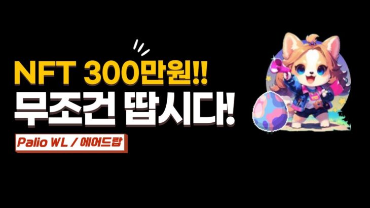 NFT 300만원 수익! 화리 무조건 따 둡시다!! (Palio 에어드랍 작업 및 NFT 화리 얻기)