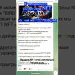 Продаю NFT коллекции BIRD, которые приносят прибыль 10% от всей коллекции @Lucky1Dumpling #рек #nft