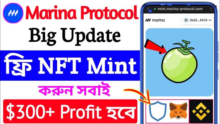 ফ্রি NFT নিন তারা তারি🔥marina protocol new update । marina protocol nft mint । marina wallet connect
