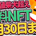 【期待値柴犬超え】激熱無料NFTエアドロ！4月30日まで配布中！参加急げ！【仮想通貨最新情報】【BLAST(ブラスト)】【柴犬コイン】【シバイヌコイン】【shibaコイン】【Petoshi(ペトシ)】