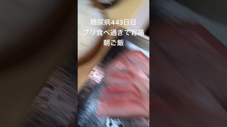 ブリOverdoseでぽんぽんいたいた糖尿病　全部コストコが悪い　心筋梗塞手術後443日目朝ご飯　#糖尿病の品格 #糖尿病 #糖質制限 #血糖値 #心筋梗塞 #日常 #vlog #糖尿 #生活習慣病