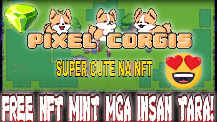 PIXELS CORGIS: 500 FREE NFT MINT GIVEAWAYS PLUS LIVE RAFFLE FOR  3 LUCKY WINNERS OF 1 NFT EACH