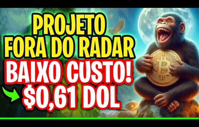 PROJETO FORA DO RADAR NFT PAGANDO BAIXO CUSTO – PANICAPE