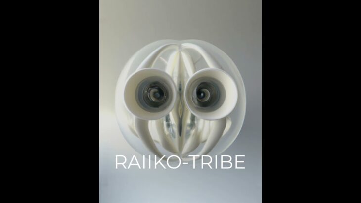 RAIIKO-TRIBE, NFT Collection by The Minimal AIrt.