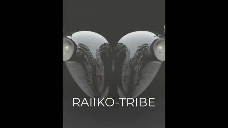 RAIIKO TRIBE, NFT Collection by The Minimal AIrt