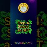 STEPS-ON-BUYING-NFT-SCATMEME-Metaverse