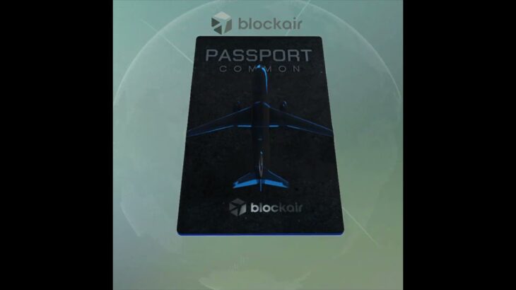 Skybound Success: Passport NFT – Ready for Takeoff!