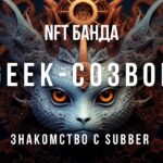 Знакомство с Subber. Создаём NFT банду