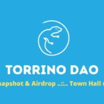 Torrino DAO | Town Hall #6 | Snaphot & Aidrop for NFT Hodlers