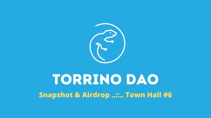 Torrino DAO | Town Hall #6 | Snaphot & Aidrop for NFT Hodlers