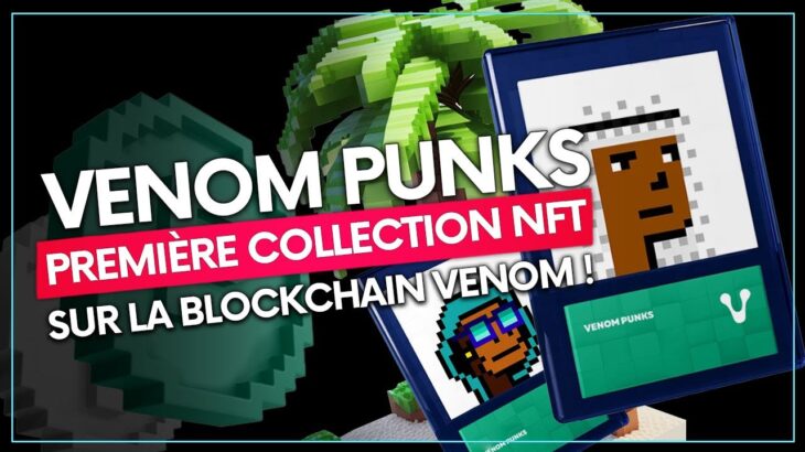 Venom Punks : Lancement de la Première collection NFT sur Venom ! 🔥