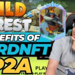 WILD FOREST NFT LORDS BENEFITS  – P2A AND REVIEW