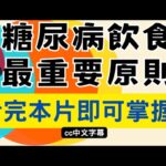 糖尿病飲食最重要的原則！糖尿患者和家人必看的影片！a simple guide to the rational of a diabetic diet for everyone