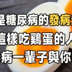 糖尿病的元兇被揪出！ 鷄蛋是糖尿病的發病「元兇」？ 醫師解答：雞蛋與健康之間的關係！ 這樣吃鷄蛋最健康！ | 糖尿病 | 佛禪