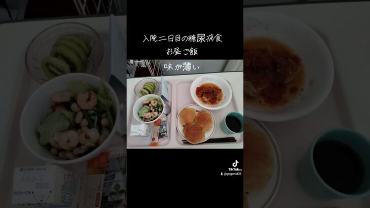 入院二日目糖尿病食お昼