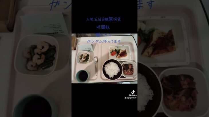 入院五日目糖尿病食晩御飯　