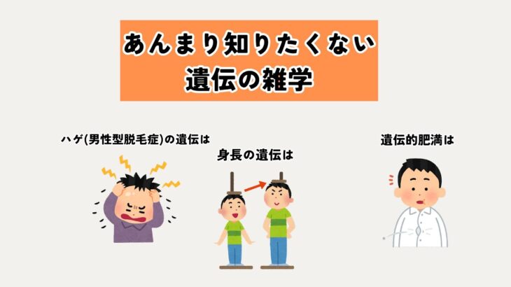 あんまり知りたくない、遺伝の雑学 #雑学 #面白い #遺伝 #ハゲ #糖尿病 #肥満 #身長