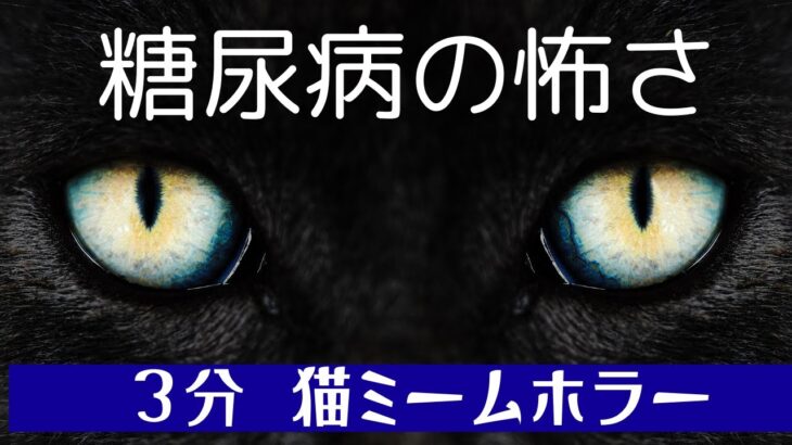 【猫ミームホラー】本当は怖い糖尿病～ご家族と見てください～