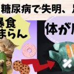 猫ミーム実話　糖尿病で失明、両足切断　 #猫ミーム #実話 　#糖尿病　 #　病気