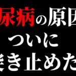 【武田邦彦】糖尿病の原因をついに突き止めた！食後の●●があなたの体を蝕んでいた…