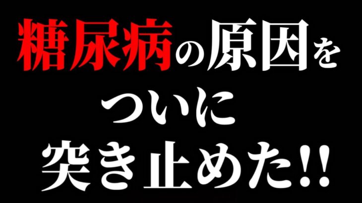 【武田邦彦】糖尿病の原因をついに突き止めた！食後の●●があなたの体を蝕んでいた…