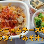 【１型糖尿】今日の昼ご飯の血糖値は？すき家「ヤンニョムチーズ牛丼」「野菜サラダ」「みそ汁」【車中飯】