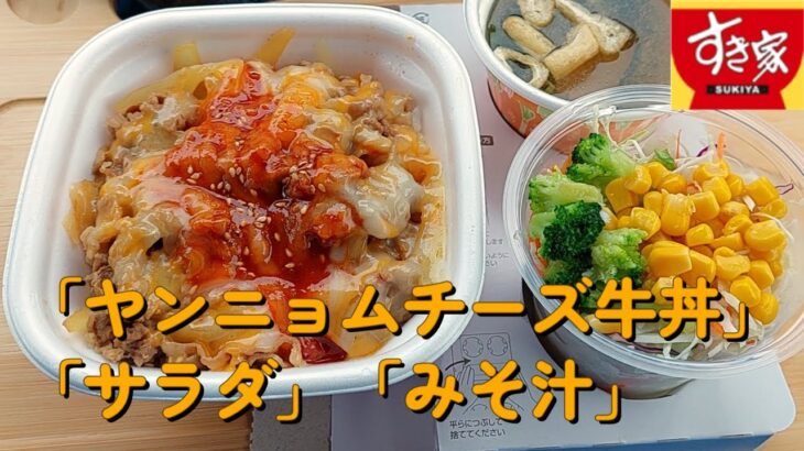 【１型糖尿】今日の昼ご飯の血糖値は？すき家「ヤンニョムチーズ牛丼」「野菜サラダ」「みそ汁」【車中飯】