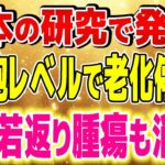 若返り・がん予防・糖尿病・アルツハイマーにも効く！実はすでに見つかっている老化を停止させる方法【ゆっくり解説】