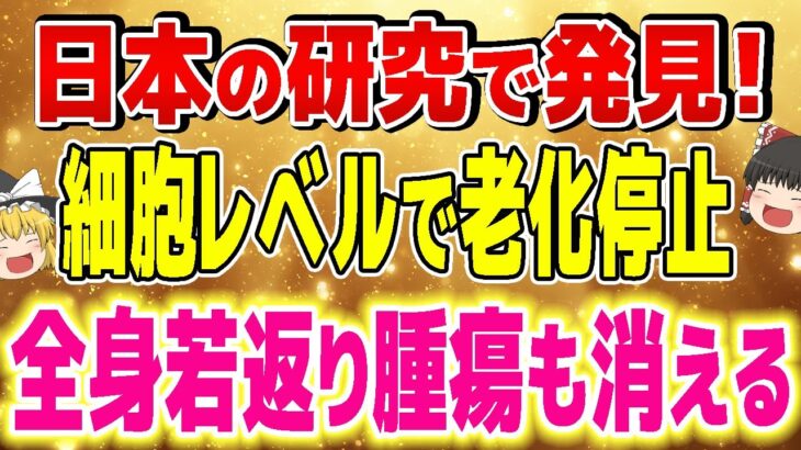 若返り・がん予防・糖尿病・アルツハイマーにも効く！実はすでに見つかっている老化を停止させる方法【ゆっくり解説】