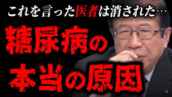 【武田邦彦】糖尿病の本当の原因をついに突き止めた！ ※医者や栄養士がコレを言ったら病院をクビになるそうです※