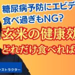 玄米でダイエットに糖尿病予防！具体的な食べる量は？最新エビデンスの紹介