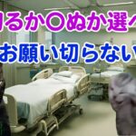 足を切断された糖尿病患者の物語【猫ミーム】