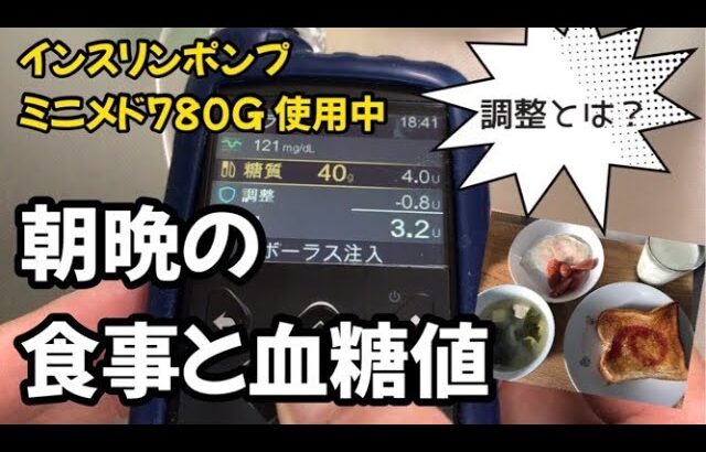 【1型糖尿病】ミニメド780Gの調整に焦った！　朝晩の食事内容と血糖コントロール