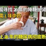 美国寻找20年的降糖护肾方，只需1味中药，让20年的糖尿病彻底断根，防止糖肾变成尿毒症！【问诊健康】