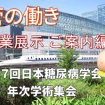 血管の働き：企業展示案内編・2024糖尿病学会