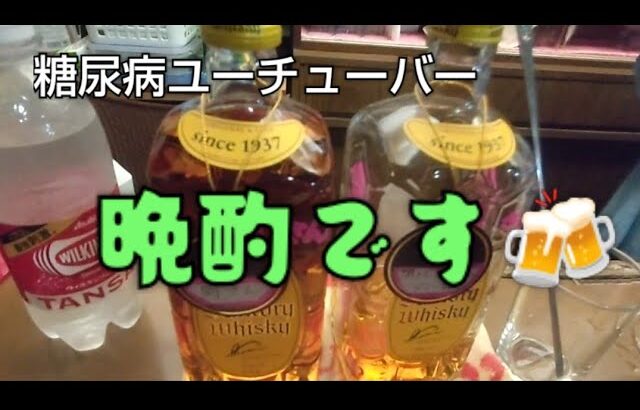 糖尿病ユーチューバー「晩酌」②ちゅぱ3号の血液検査の結果報告