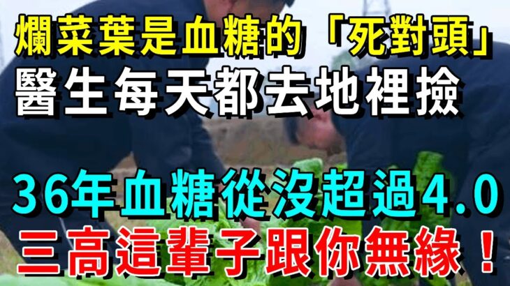 地裡的爛菜葉竟是糖尿病的「死對頭」！醫生每次都去地裡撿！36年血糖從沒超過4.0，三高這輩子跟你無緣！【養生常談】